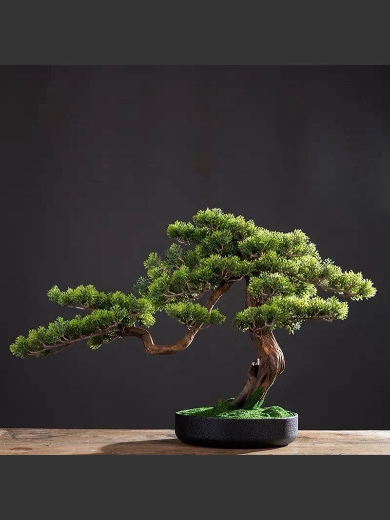 Bonsai