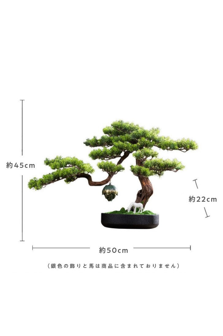 Bonsai