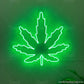 Cbd